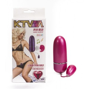 Voice Control Vibrator with T-Back Underwear
