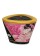 Shunga Massage Candle Aphrodisia/Roses - 170 ml