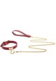 Luxury Collar And Leash - Red / Gold