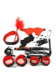 BDSM Pleasure Pack Set, 10 Pieces - Black / Red