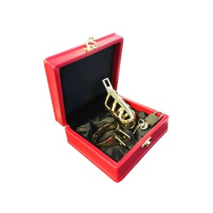 Brutal Stainless Steel Chastity Penis Cage - Gold