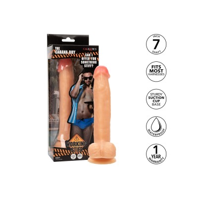 CalExotics Working Stiff The Cabana Boy, Suction Cup Realistic Dildo