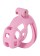 Penis Prison Cock Cage Short - Pink